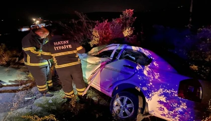 Zeytin bahçesine devrilen aracın sürücüsü yaralandı