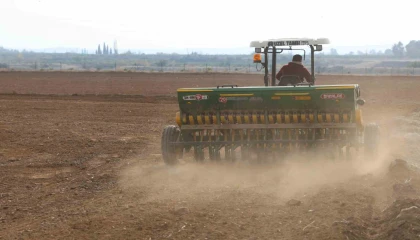 Adanada buğday taneleri toprakla buluştu