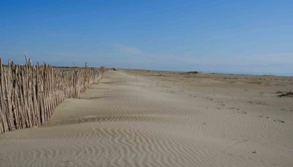 Adanada erozyonla mücadele kapsamında fidan dikimi yapıldı.