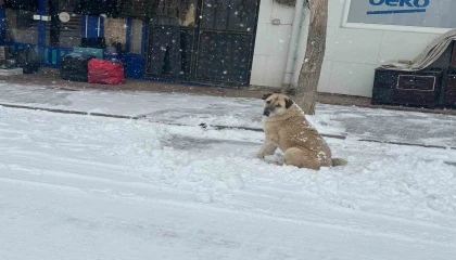 Adananın Tufanbeyli ilçesinde kar etkili oldu