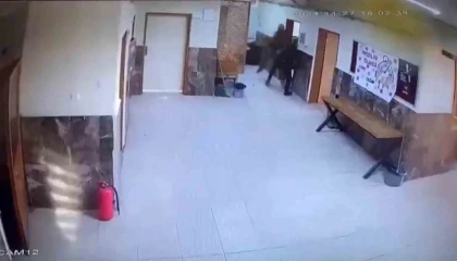 Ağabeyi 2 öğretmeni dövdü, kadın öğretmen açığa alındı