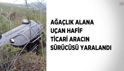 Ağaçlık alana uçan hafif ticari aracın sürücüsü yaralandı