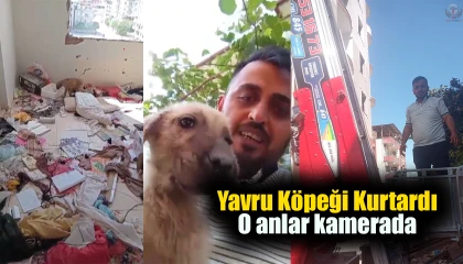 Hataylı hayvan sever, yavru köpeği kurtardı: O anlar kamerada