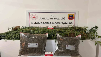 Alanyada narkotik operasyonları