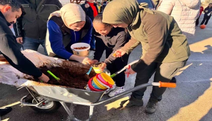 Anamurda ceviz tohumları toprakla buluşturuldu