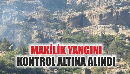 Antakyada makilik yangını