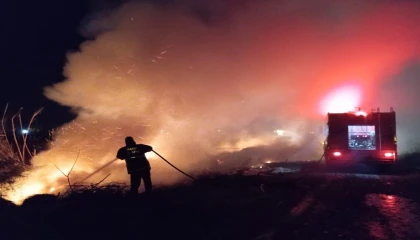 Arsuzda sazlık yangını