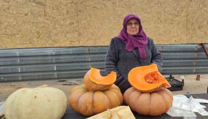 Bahçesinde ürettiği balkabağı geçim kaynağı oldu