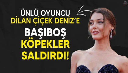 Başıboş köpek saldırısına uğradı
