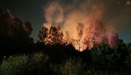 Dörtyol’da sazlık alanda yangın çıktı