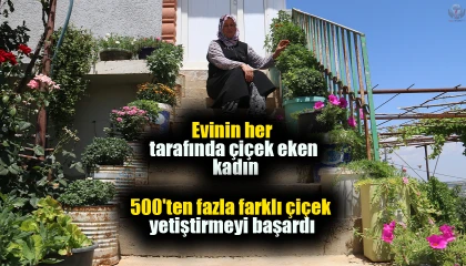 Evinin her tarafında çiçek eken kadın, 500ten fazla farklı çiçek yetiştirmeyi başardı