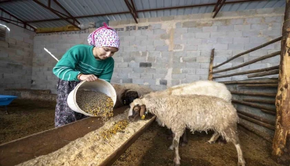 Hadi Gel Köyümüze Geri Dönelim projesi bir genci deha üretime kazandırdı