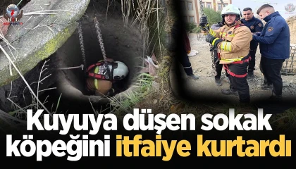 Hatay'da Kuyuya Düşen Köpek Kurtarıldı