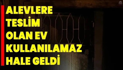 Hatayda alevlere teslim olan ev kullanılmaz hale geldi