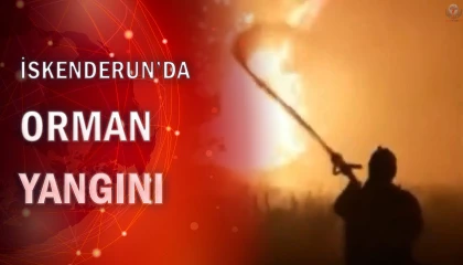 İskenderunda ormanlık alanda yangın