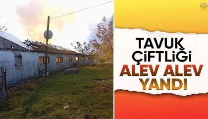 İskenderunda tavuk çiftliğinde yangın