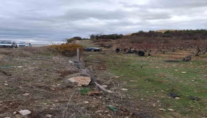 Ispartada ehliyetsiz sürücünün kullandığı araç bahçeye uçtu: 1 yaralı