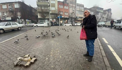 Kahramanmaraşlı esnaf depremde hasar alan cami önündeki güvercinleri her gün yemliyor