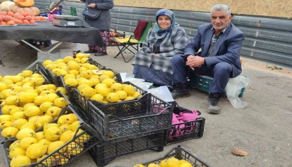 Kendi bahçesinde yetiştirdikleri ayvaları satarak 7 çocuk okuttular