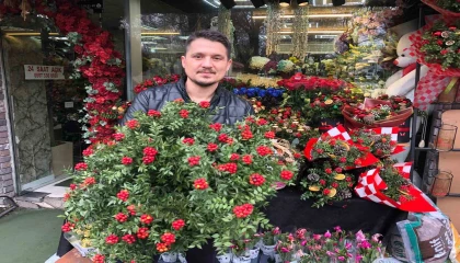 Kokina çiçeği Ispartada yoğun ilgi görüyor