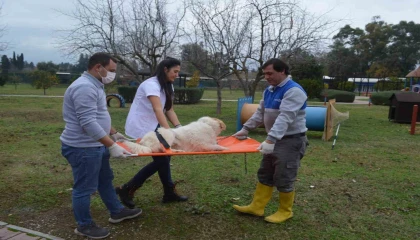 Konyaaltı Belediyesinden hayvan bakım ve hijyen eğitimi