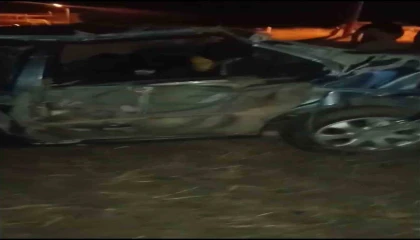 Köpeğe çarpmamak için manevra yapan sürücü, facianın eşiğinden döndü