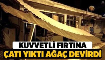 Kuvvetli fırtına ağaçları yerinden söktü, çatıları uçurdu