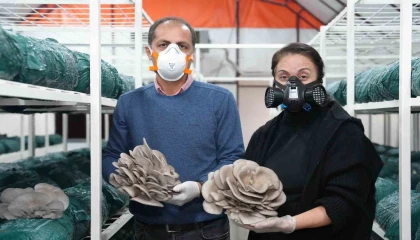 Mantar yetiştiriciliği kursu ile hem kazanıyor, hem kazandırıyor