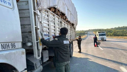 Mersinde orman suçlarına karşı denetimler sürüyor