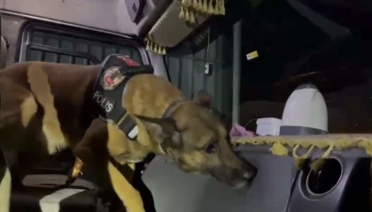 Osmaniyede durdurulan tırda 26 kilo 650 gram uyuşturucu ele geçirildi