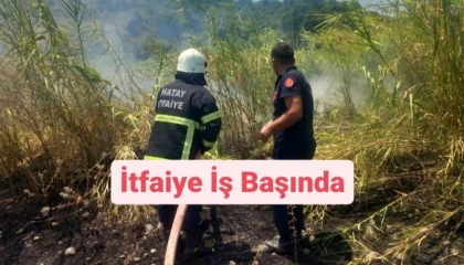 Samandağda kamışlık alanda çıkan yangın söndürüldü