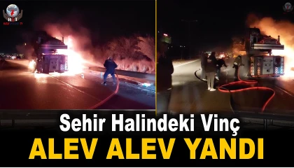 Seyir halindeki vinç alevlere teslim oldu