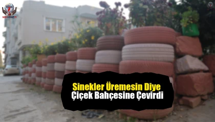 Sinekler üremesin diye topladığı araç lastiklerinden çiçek bahçesi yaptı