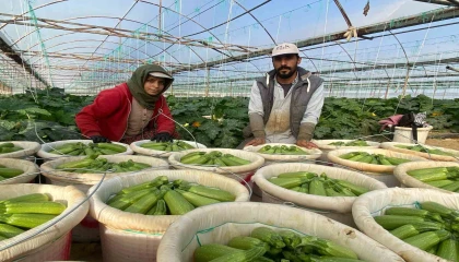 Suriyeden kaçıp Türkiyede evlenen çift: “Esadın yaptığını bize gavur yapmadı”