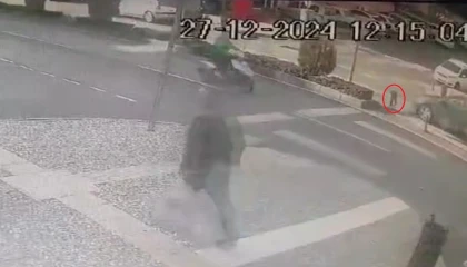 Yaya geçidinden geçen köpeğe otomobil çarptı