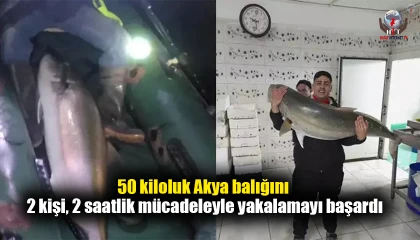 50 kiloluk Akya balığını 2 kişi, 2 saatlik mücadeleyle yakalamayı başardı