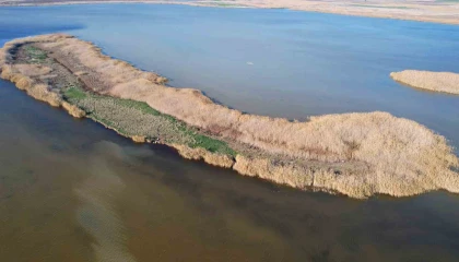 Adananın saklı cenneti Nergis Adası, yok olma tehlikesiyle karşı karşıya
