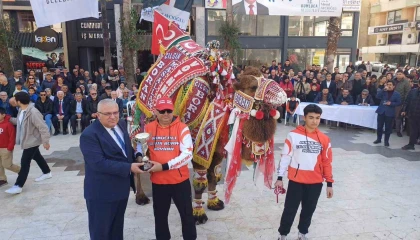 Antalyada en süslü deve seçildi