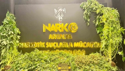 Antalyada son 1 haftada 11 kilogram skunk ele geçirildi