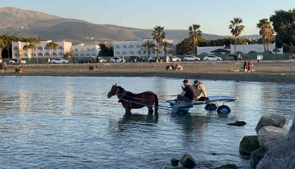 At arabasıyla denize girip güneşlendiler