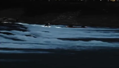 Barajda mahsur kalan vatandaşı itfaiye kurtardı