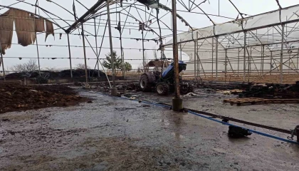 Burdurda sera yangını