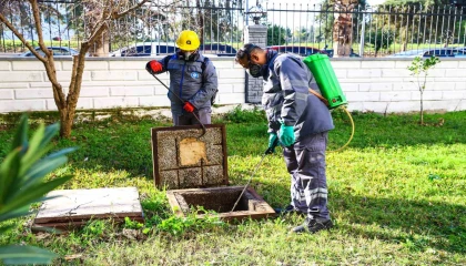 Büyükşehir 913 mahallede bin 500 personelle vektörle mücadele ediyor