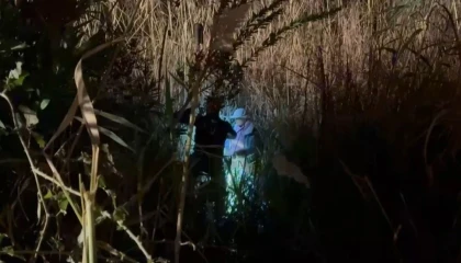 Çayda bataklığa saplanan kadın, vincin halatıyla kurtarıldı