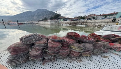 Eğirdir Gölünde 1 haftada kaçak avlanan bin kerevit ele geçirildi