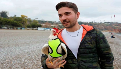 Falezlerden düşen tavuğu denizden kurtarıp sahiplendi, şimdi yanından ayrılmıyor