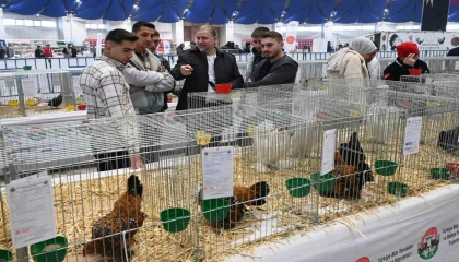 Farklı ırklardan bin 750 kanatlı hayvan ve süs tavuğu Ispartada