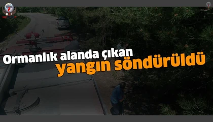 Hatayda ormanlık alanda çıkan yangın söndürüldü