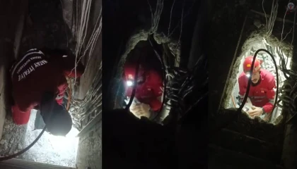 Havalandırma boşluğuna düşen kedinin itfaiye tarafından kurtarıldığı anlar kamerada