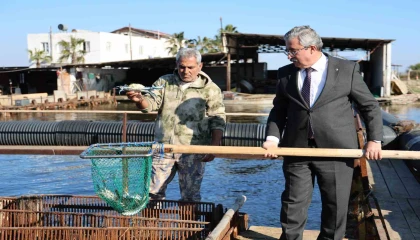 İç piyasada tüketilmeyen mavi yengece yurt dışı talebi